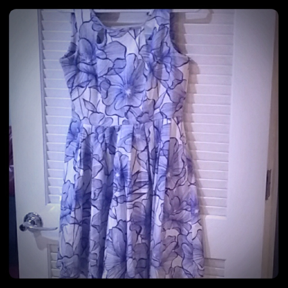 Blue and White Dress